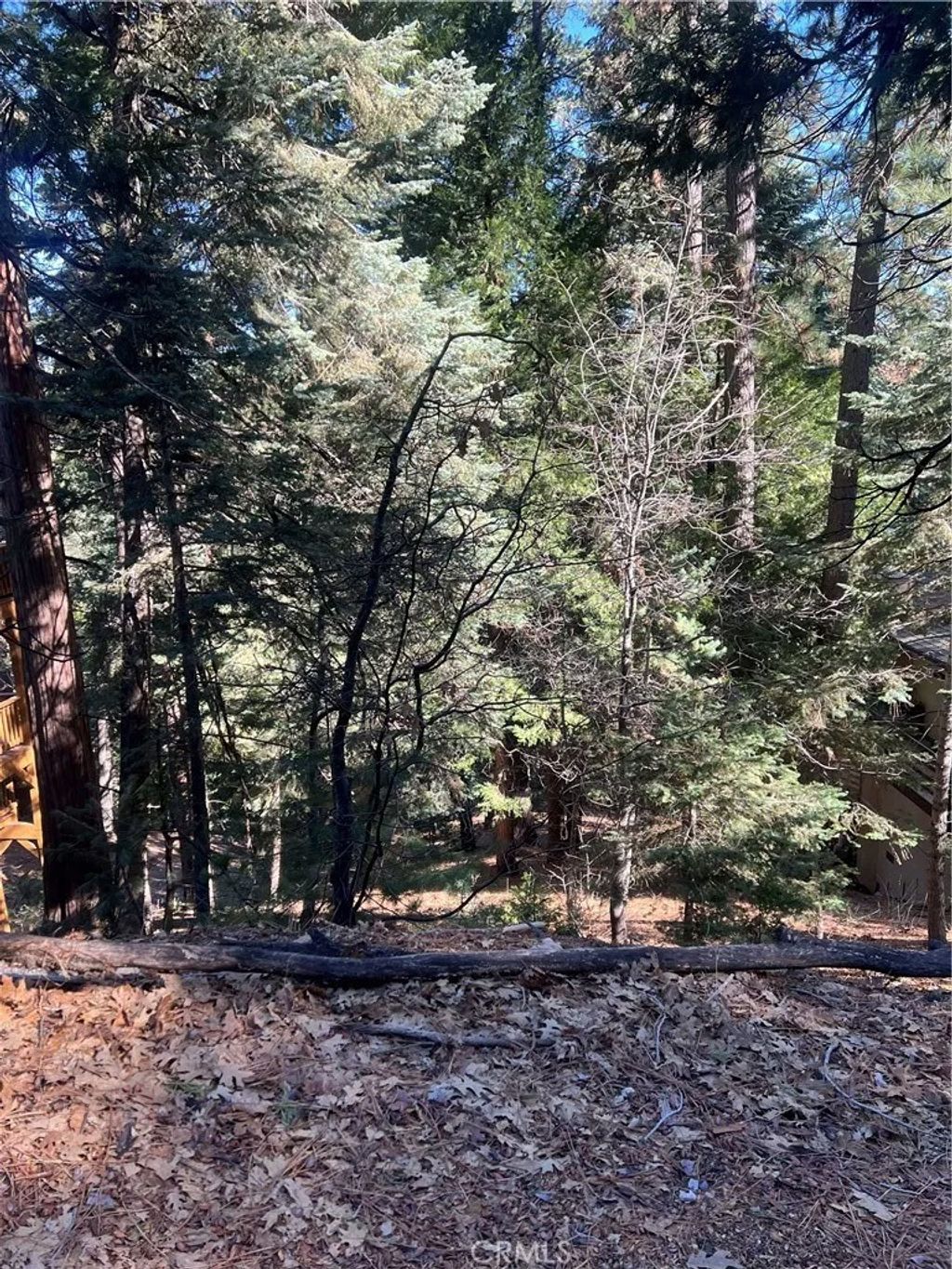 Photo of 0 Forest, Twin Peaks, CA 02391 (MLS # IG26084160)