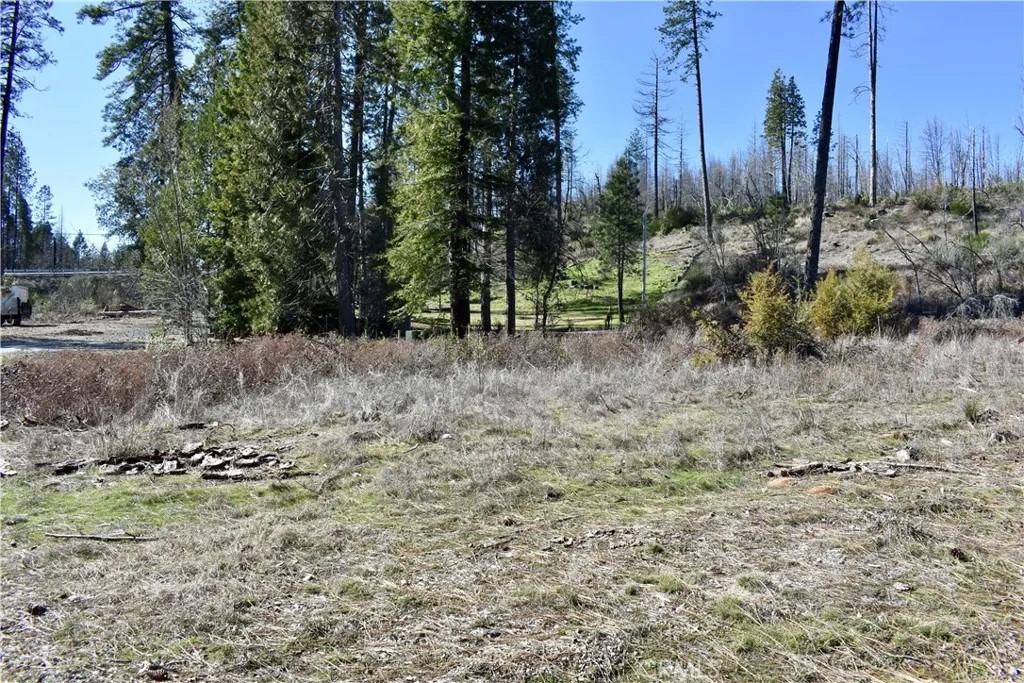 20 Meadow