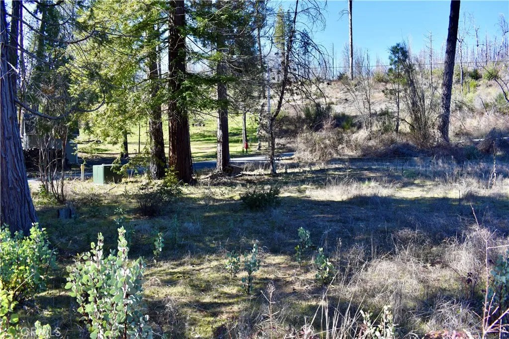 20 Meadow