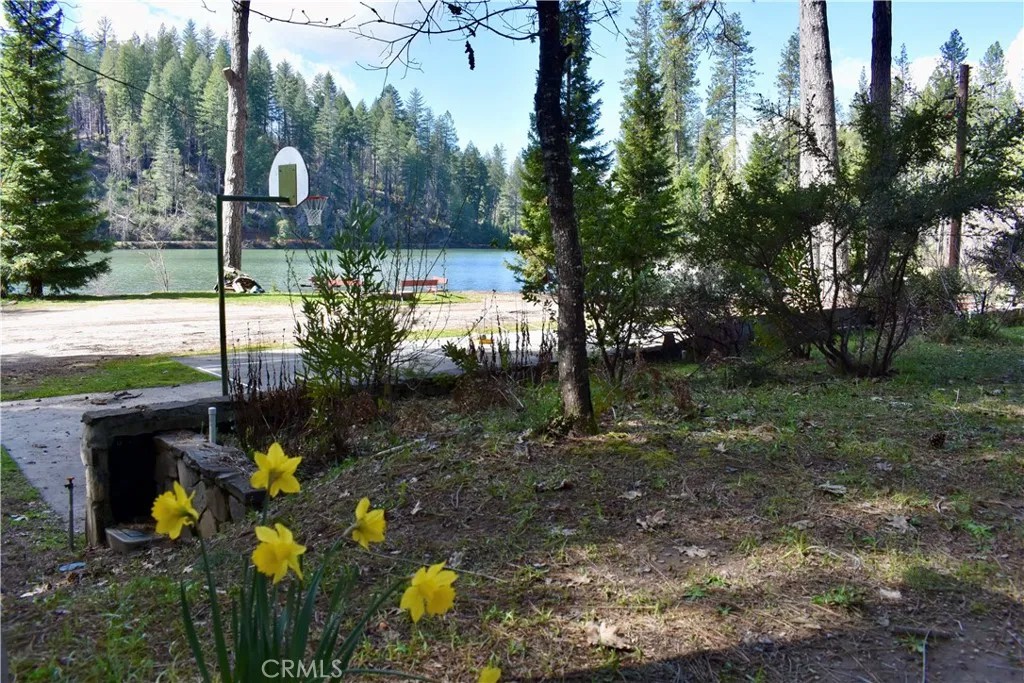 20 Meadow
