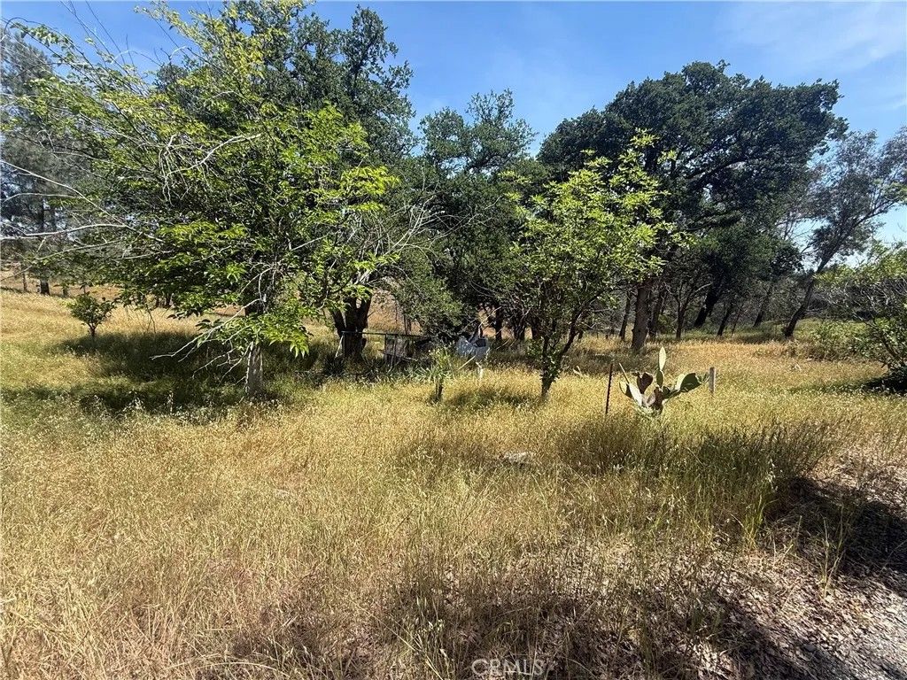 Photo of 7274 Crazy Horse RDG, Corning, CA 96021 (MLS # PA26107014)