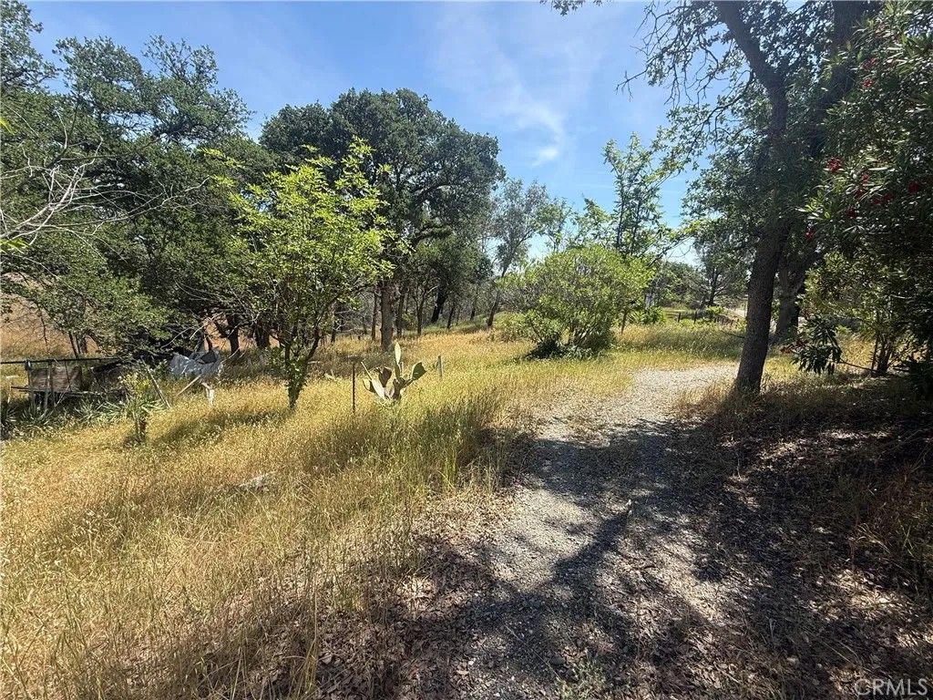 Photo of 7274 Crazy Horse RDG, Corning, CA 96021 (MLS # PA26107014)
