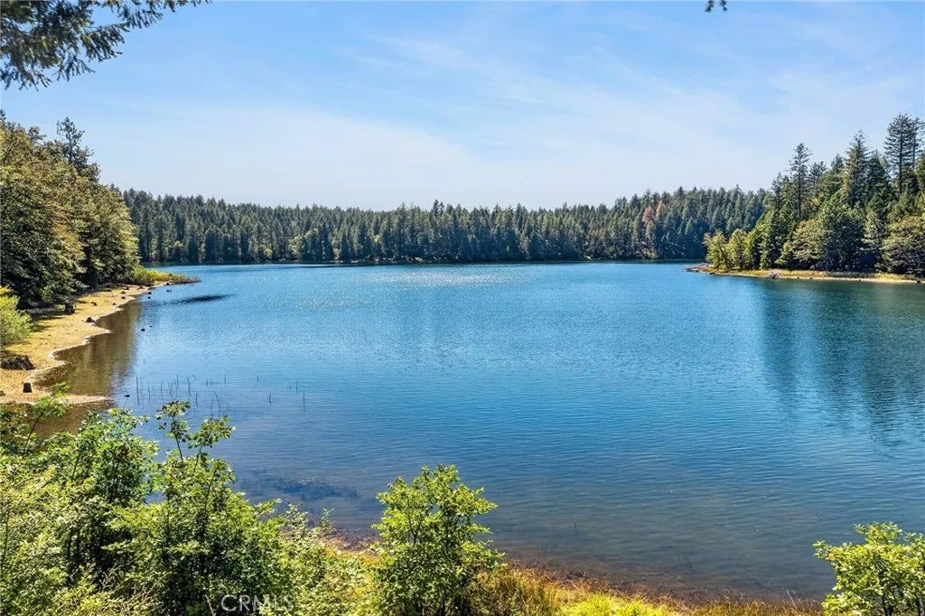 45 Lakevista