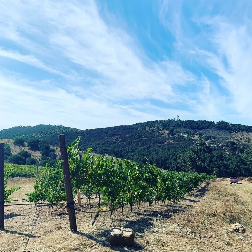 Photo of 12028 Keys Creek, Valley Center, CA 92082 (MLS # SC25214342)