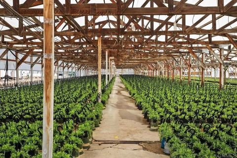 Cassou San Marcos CA 92069