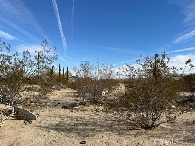 6325 Palm View