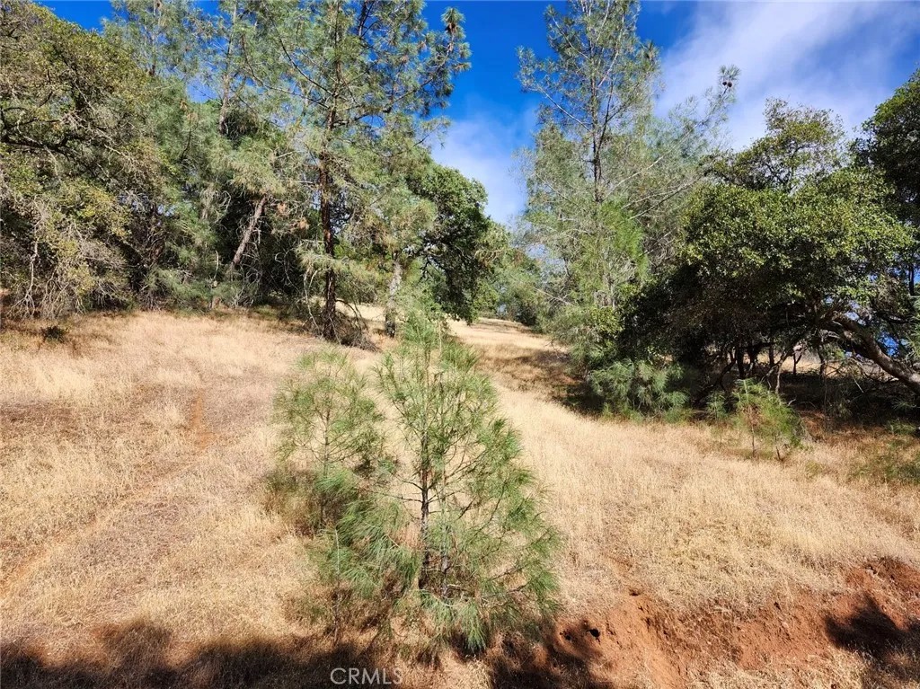 9500 Glenhaven