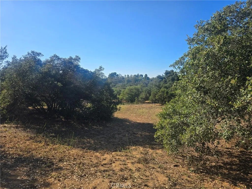 Photo of 15863 Mussey Grade RD, Ramona, CA 92065 (MLS # DW26169210)