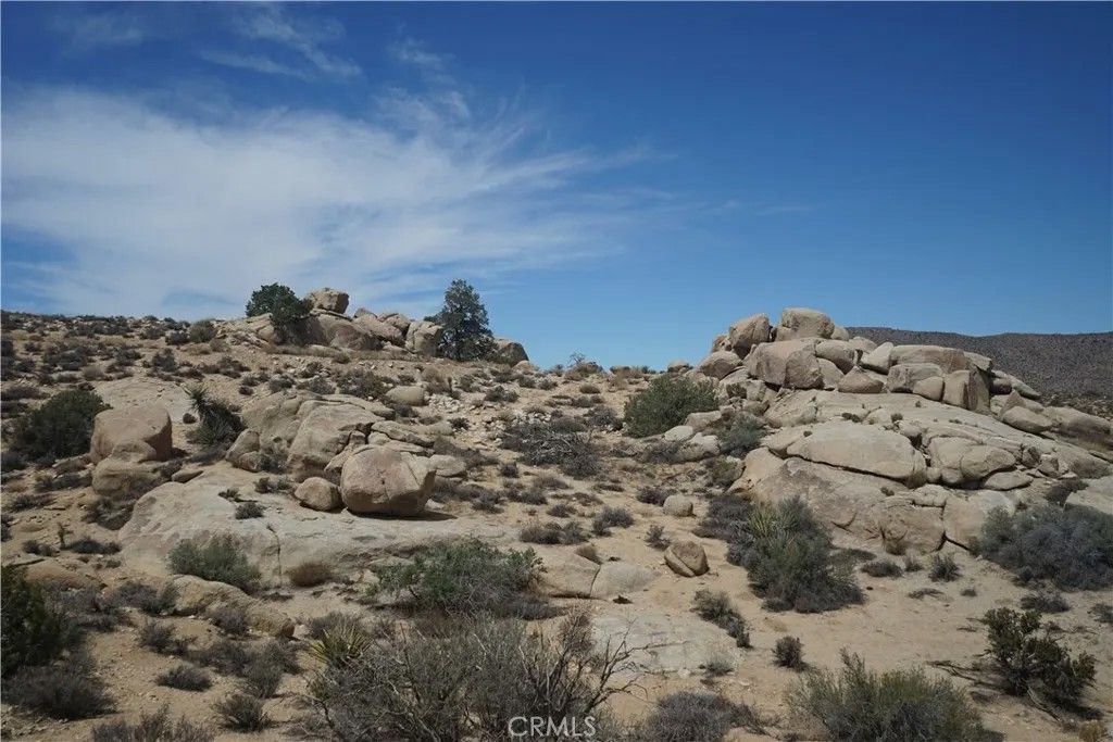 Photo of 52588 Blackbrush Rd, Pioneertown, CA 92268 (MLS # JT26066572)