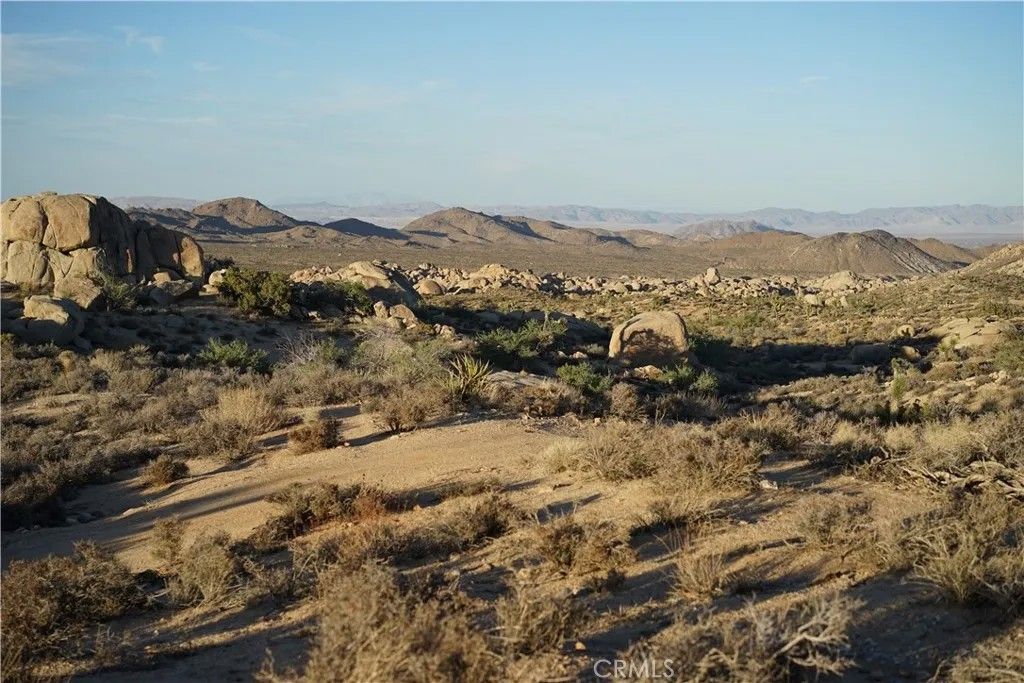 Photo of 52588 Blackbrush Rd, Pioneertown, CA 92268 (MLS # JT26066572)