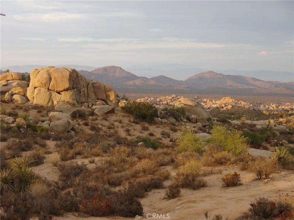 Photo of 52588 Blackbrush Rd, Pioneertown, CA 92268 (MLS # JT26066572)