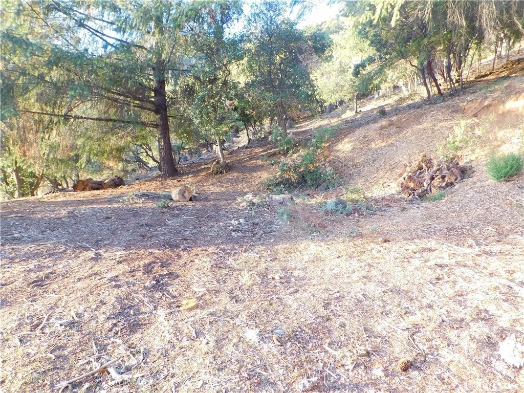 8431 Mountain Crest