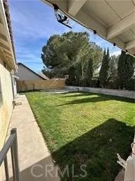 37510 Conifer
