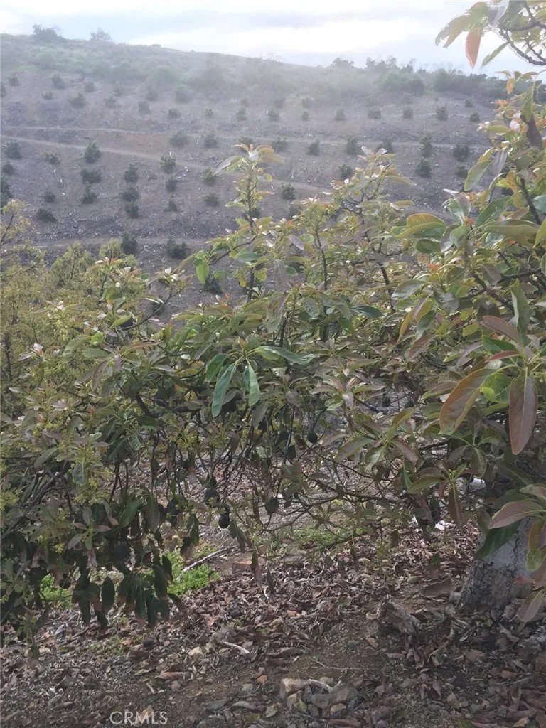 0 Via Barranca
