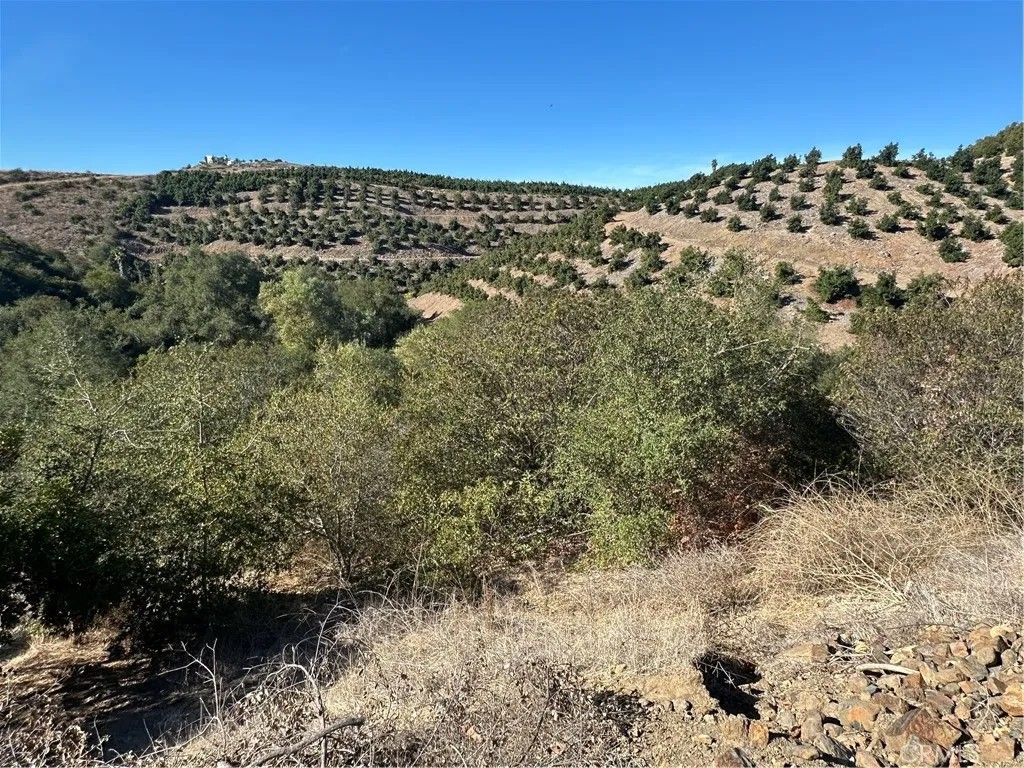 Photo of 0 Via Barranca, Temecula, CA 92590 (MLS # PW26063901)