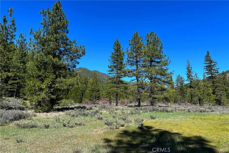 79402 State Highway 3