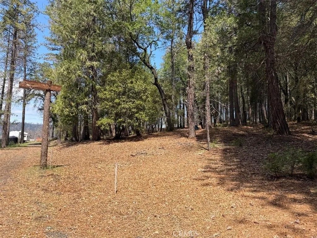 Photo of 4631 Dear Abby RD, Forest Ranch, CA 95942 (MLS # SN26120588)