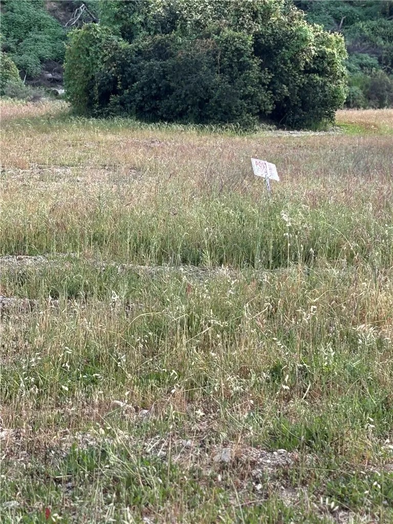 0 San Martinez