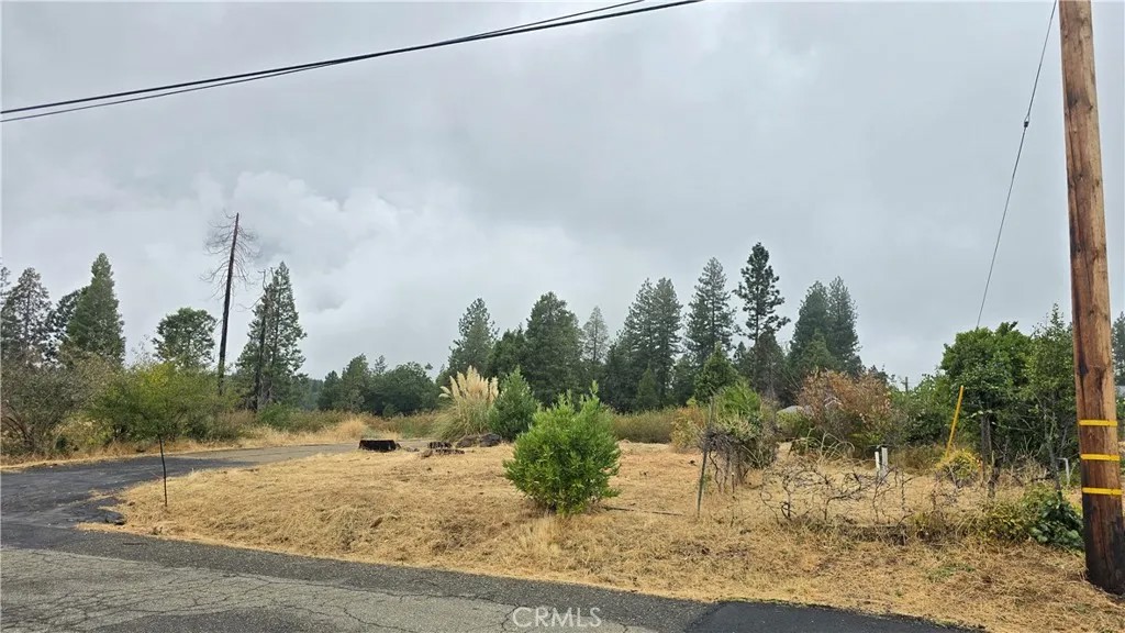6167 Ponderosa