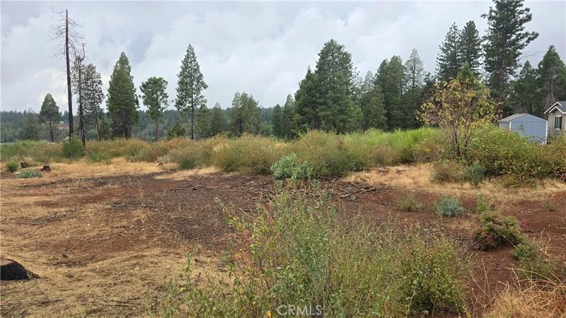 6167 Ponderosa