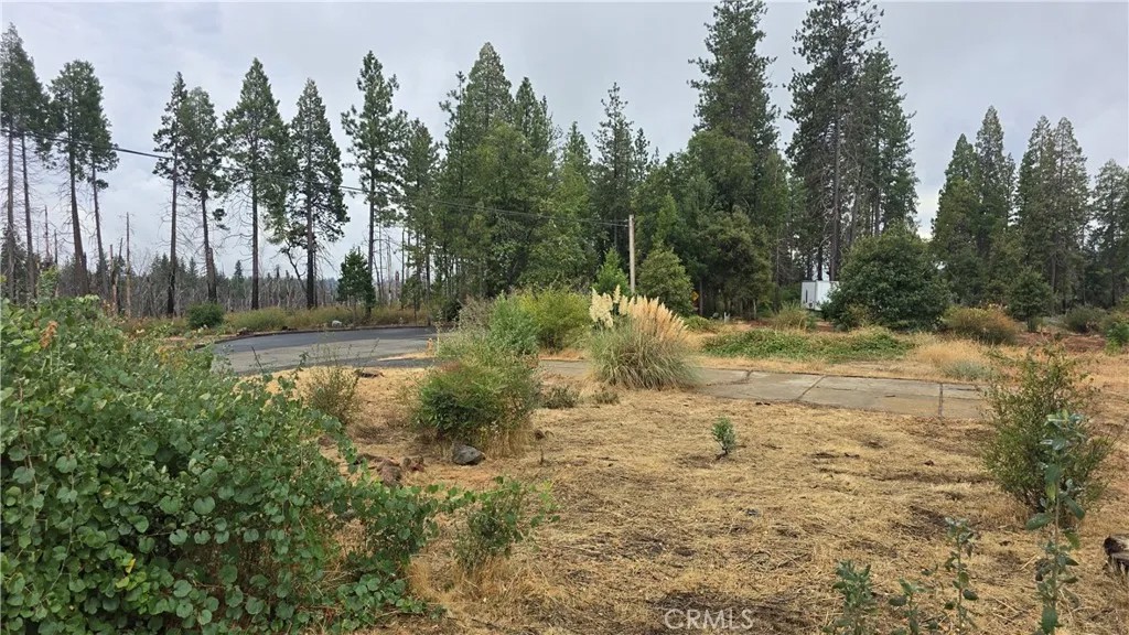 6167 Ponderosa