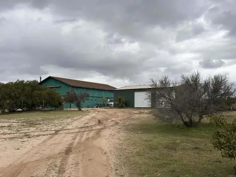 MLS: PTP2509254