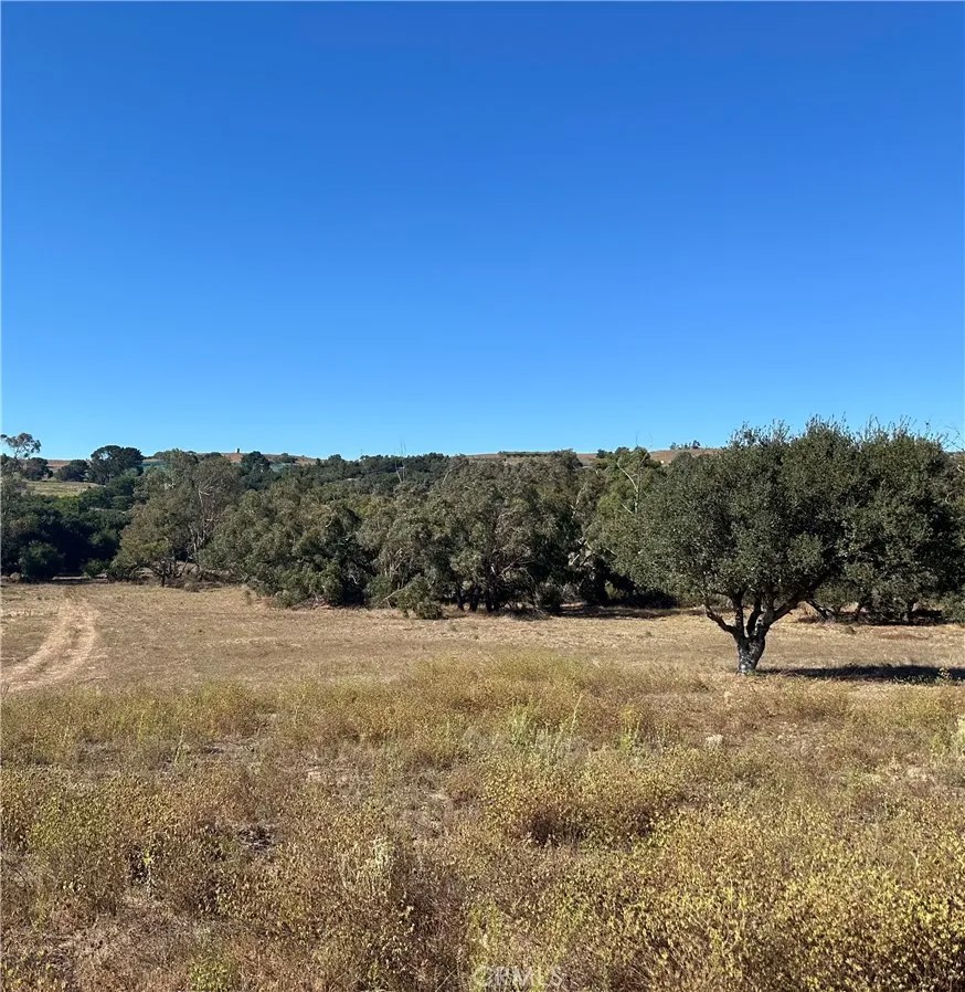 1990 Tularosa