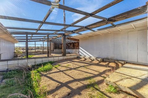 Tiny photo for 1998 Cambria Avenue, Landers, CA 92285 (MLS # SW25271594)
