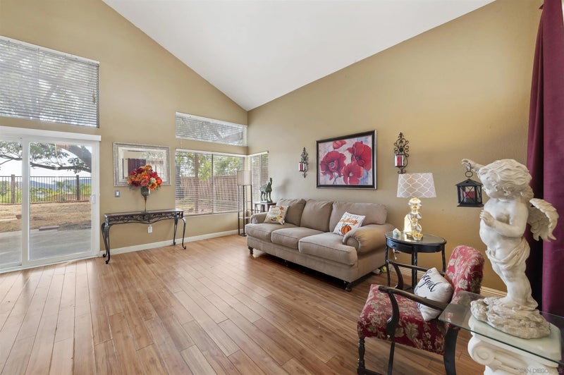 24509 Pantera Ct