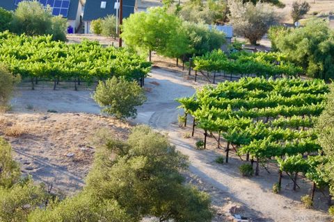 Tiny photo for 32800 Camino Ortega, Warner Springs, CA 92086 (MLS # 250043143)