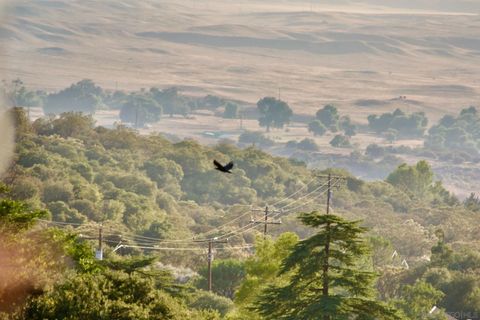 Tiny photo for 32800 Camino Ortega, Warner Springs, CA 92086 (MLS # 250043143)