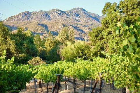 Tiny photo for 32800 Camino Ortega, Warner Springs, CA 92086 (MLS # 250043143)