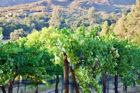 Tiny photo for 32800 Camino Ortega, Warner Springs, CA 92086 (MLS # 250043143)