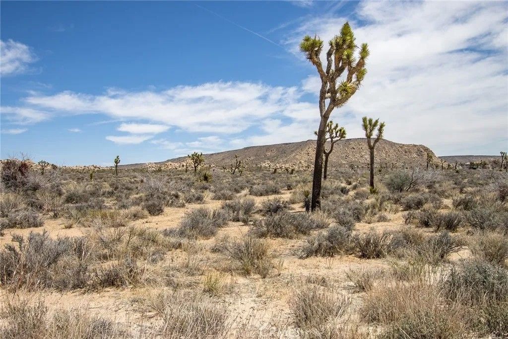 Photo of 59190 Barron Drive, Yucca Valley, CA 92284 (MLS # JT26050504)