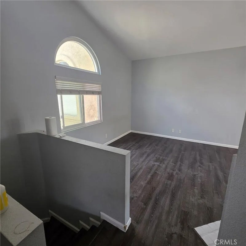 21128 Gladiolos