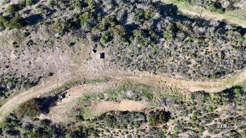 10 Williams Canyon