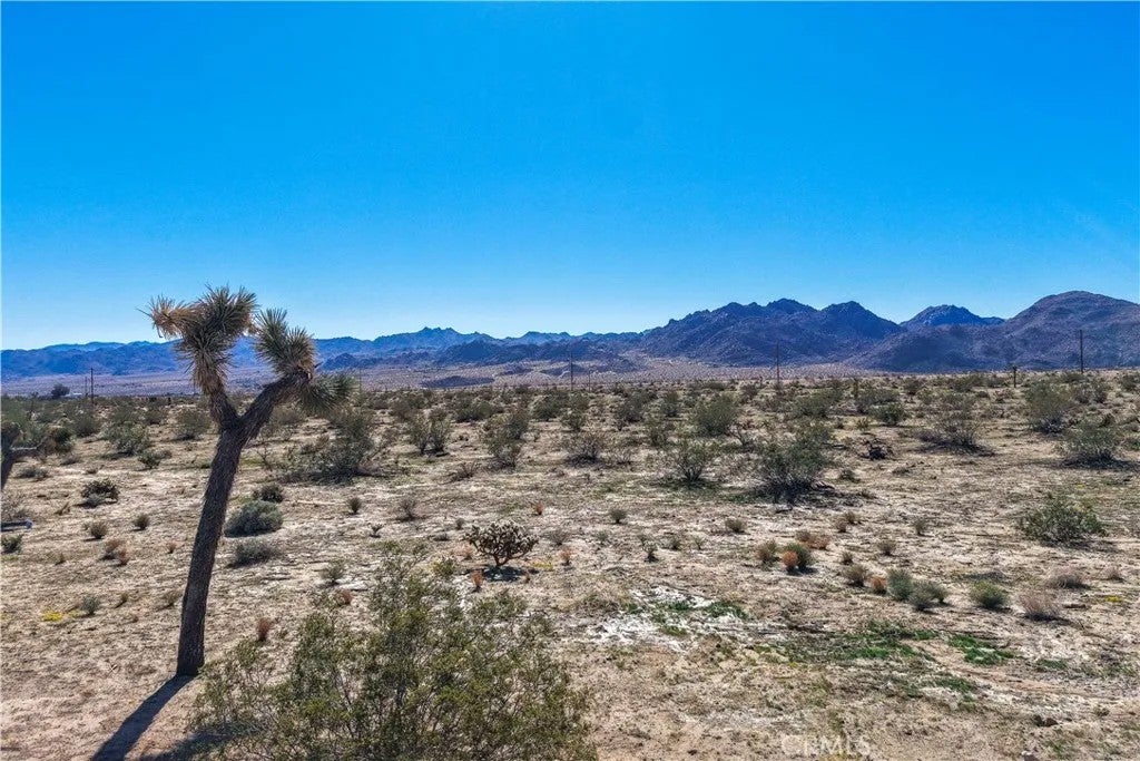 Photo of 62407 Crestview Dr, Joshua Tree, CA 92252 (MLS # JT26209131)