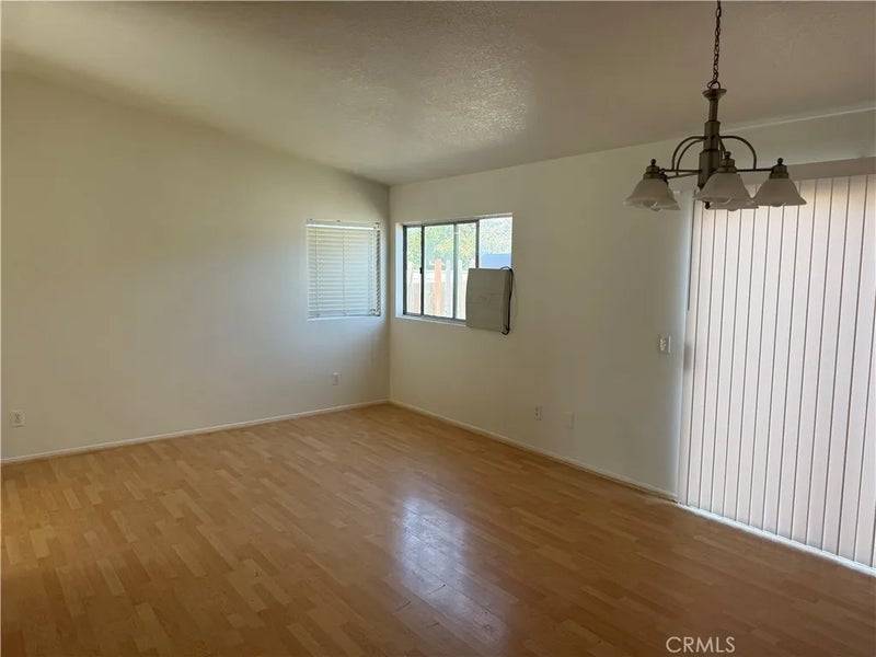 15189 Sunflower