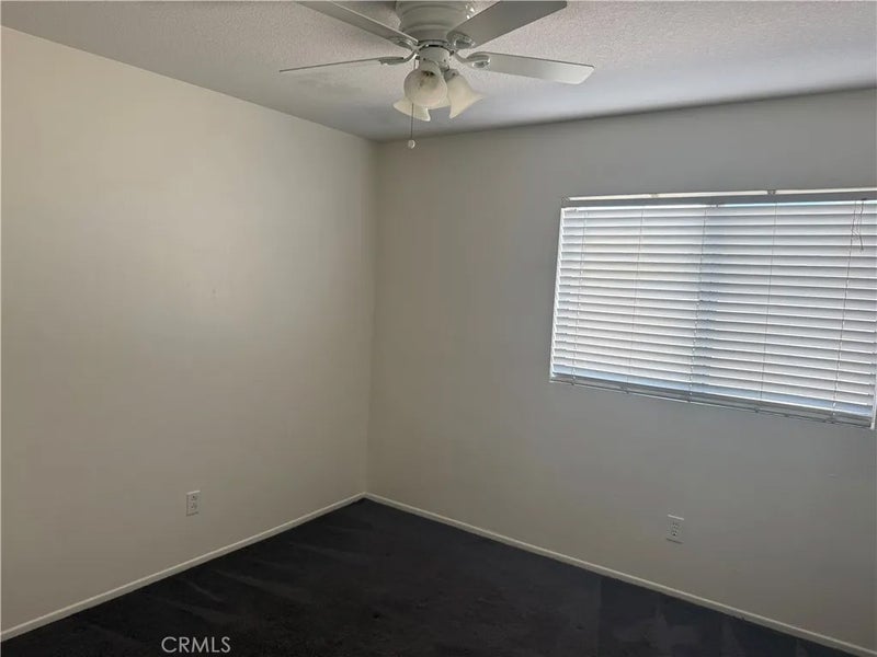 15189 Sunflower