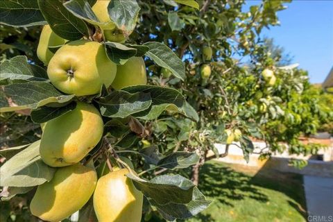 Tiny photo for 827 Bayberry Ct, San Marcos, CA 92069 (MLS # NDP2600055)