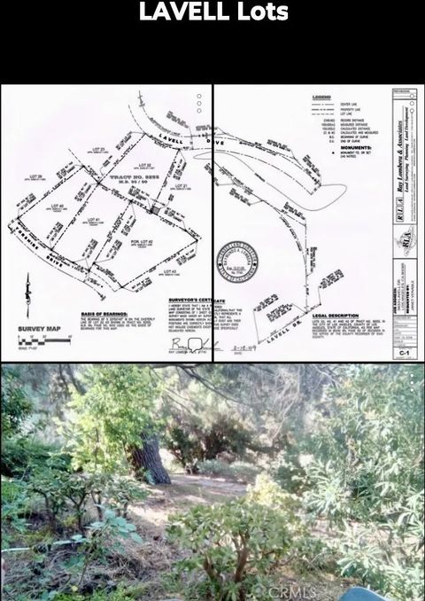 Photo of 3633 Lavell Drive, Los Angeles, CA 90065 (MLS # SR25271523)