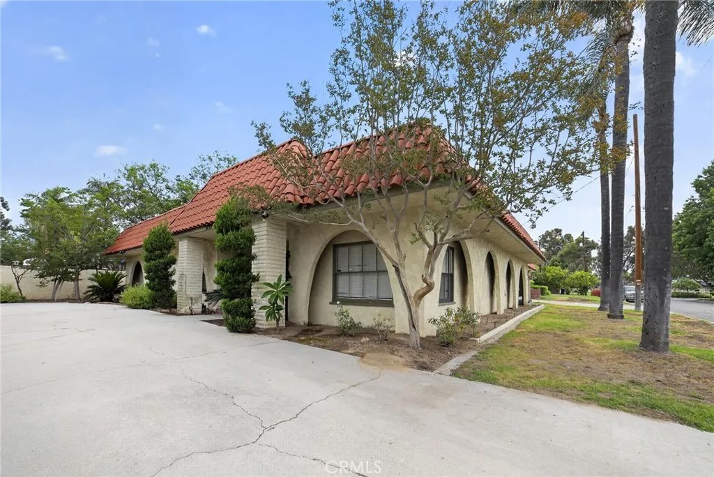 3105 Pepper Tree