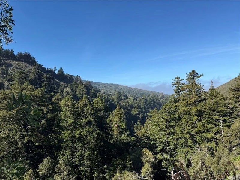 65 Garapatos Redwoods Trail 1