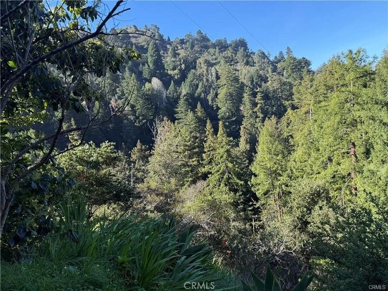 65 Garapatos Redwoods Trail 1
