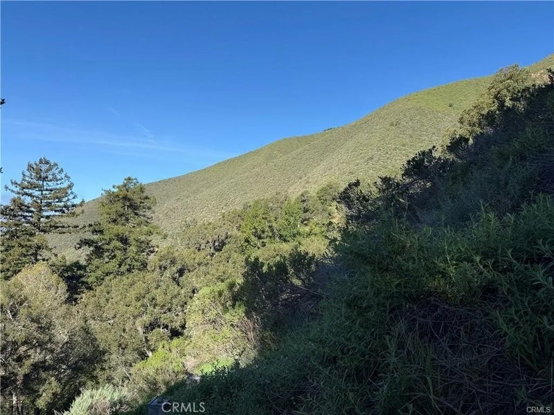 65 Garapatos Redwoods Trail 1