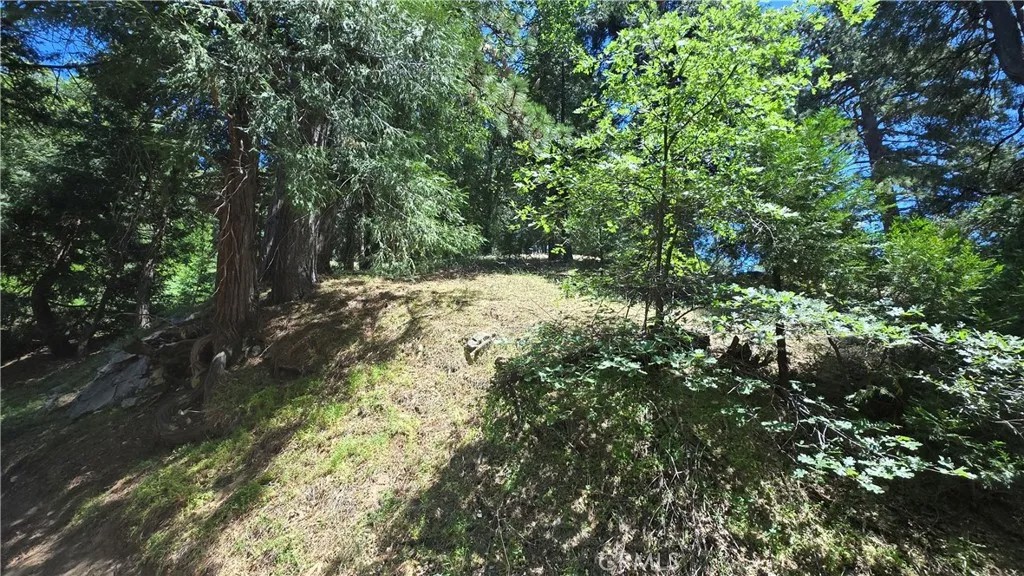 22494 Mojave River