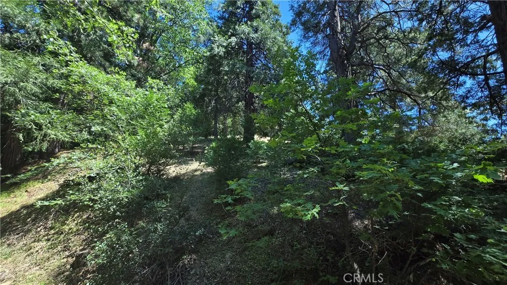 22494 Mojave River