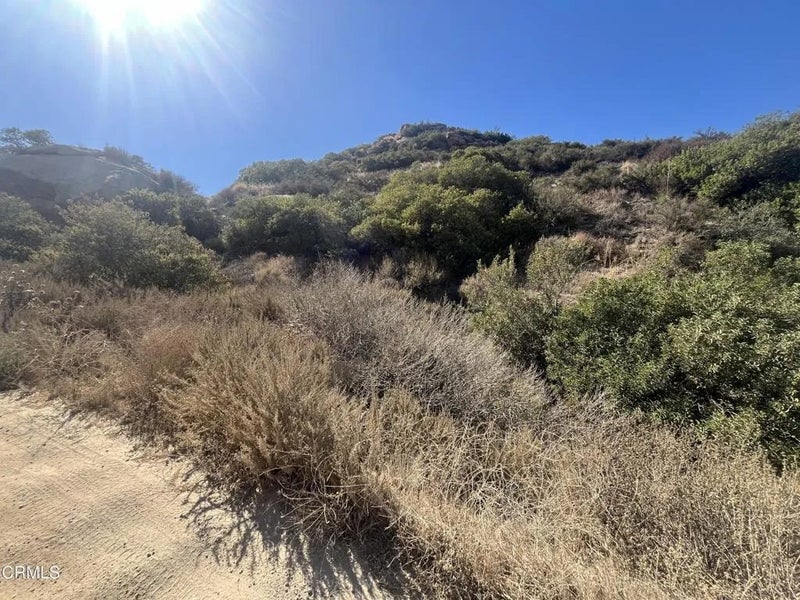 7821 Mesa
