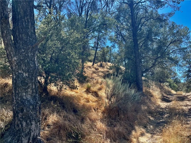 0 Short Trail