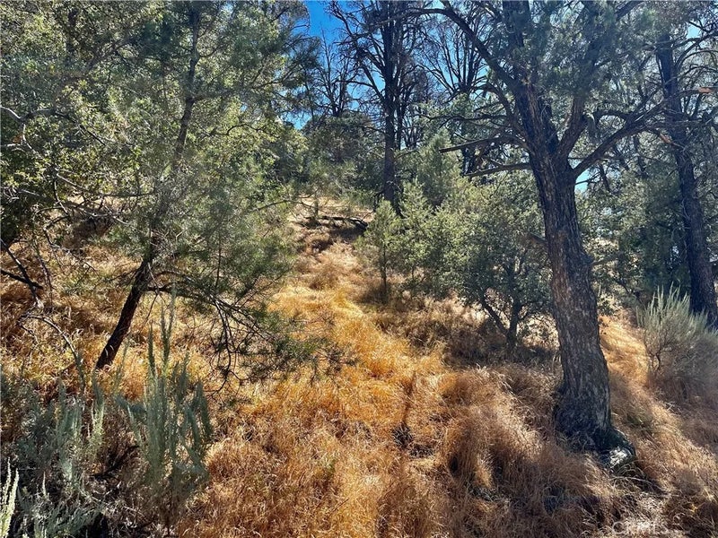 0 Short Trail